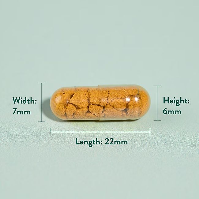 H&B HIGH STRENGTH ciberžolė 600 mg, bosvelija ir imbieras, 90 kapsulių