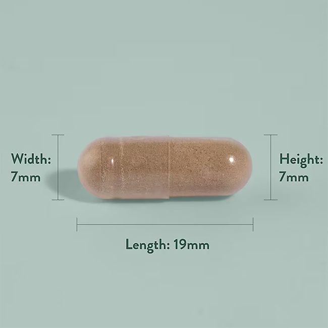 H&B PYCNOGENOL® jūrinės pušies žievės ekstraktas 30 mg ir citrusinių vaisių bioflavonoidai, 30 kap.