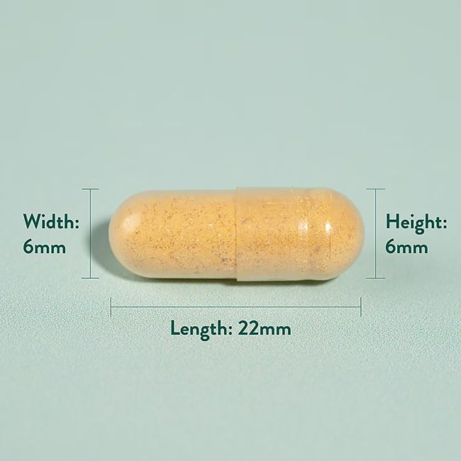 H&B ciberžolė 500 mg, 240 kapsulių