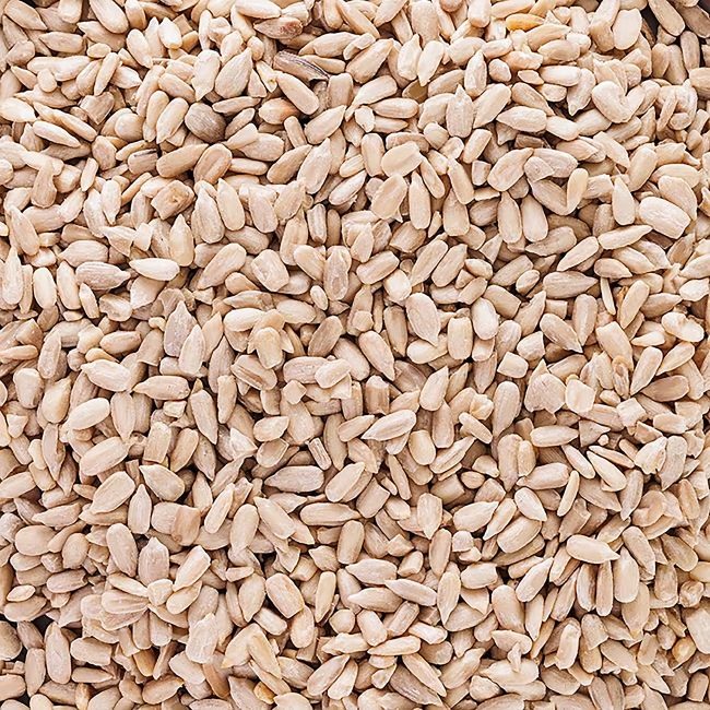 HOLLAND & BARRETT saulėgrąžų sėklos, 500 g