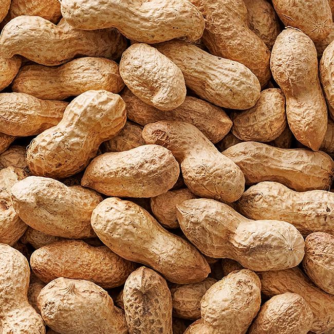 HOLLAND & BARRETT ROASTED MONKEY NUTS kepinti, negliaudyti žemės riešutai, 300 g
