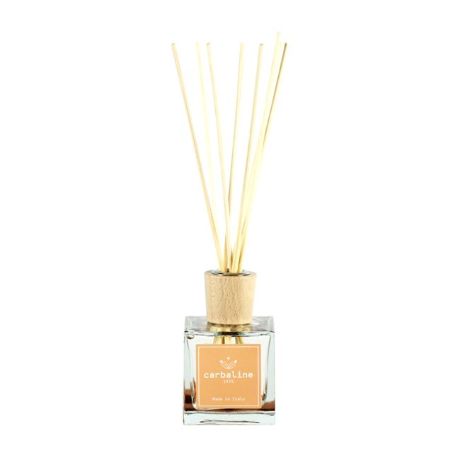 HOME FRAGRANCE LOTUS namų kvapas, 100 ml