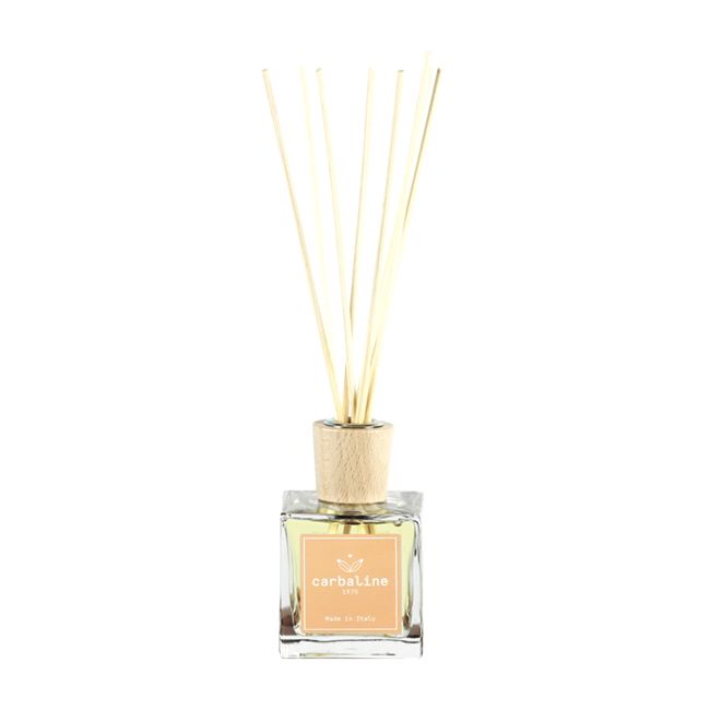 HOME FRAGRANCE ORANGE & CINNAMON namų kvapas, 100 ml