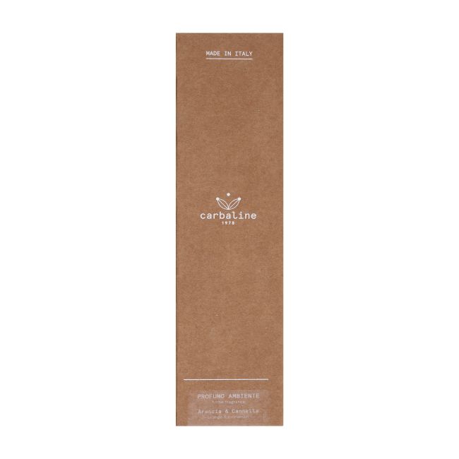 HOME FRAGRANCE ORANGE & CINNAMON namų kvapas, 100 ml