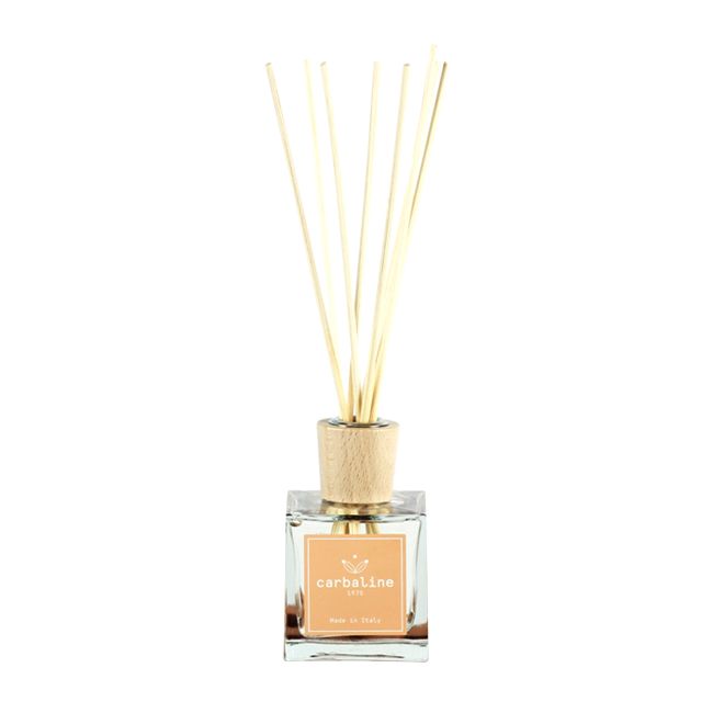 HOME FRAGRANCE FIG namų kvapas, 100 ml