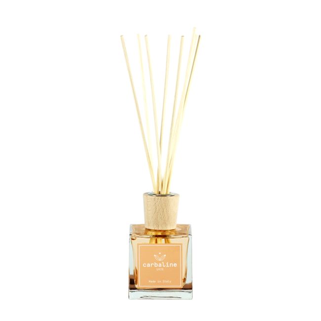 HOME FRAGRANCE BARK & BLACK PEPPER namų kvapas, 100 ml