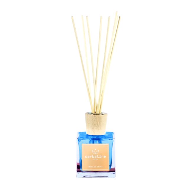HOME FRAGRANCE TALC & MUSK namų kvapas, 100 ml
