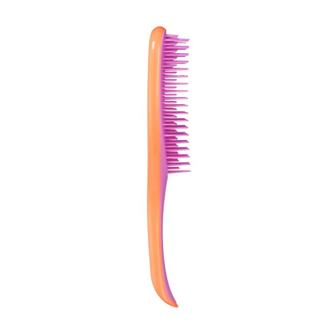 TANGLE TEEZER DETANGLING FINE & FRAGILE plaukų šepetys