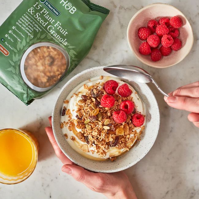 H&B 15 augalinė vaisių ir sėklų granola, 500 g