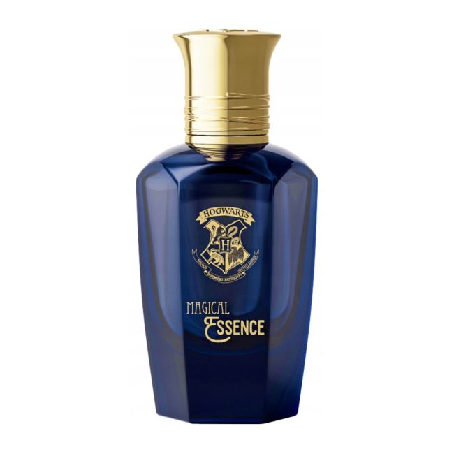 HARRY POTTER MAGICAL WISDOM parfumuotas vyrų vanduo, 50 ml