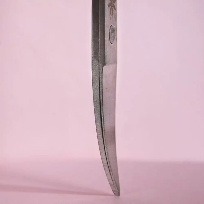 BRUSHWORKS COUPE - ONGLE nagų žirklutės