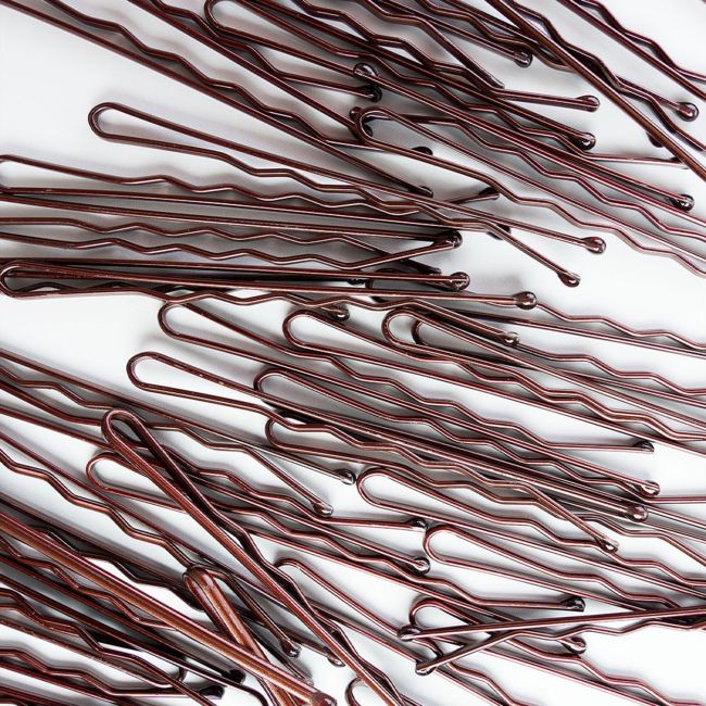 BRUSHWORKS BROWN BOBBY plaukų segtukai (50 vnt.)