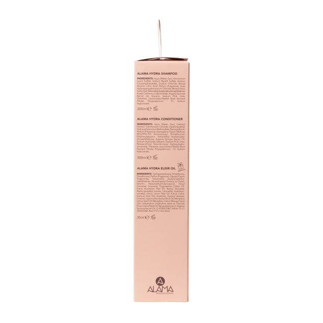 ALAMA PROFESSIONAL A GIFT FOR YOU ARGAN OIL ESSENCE plaukų priemonių rinkinys