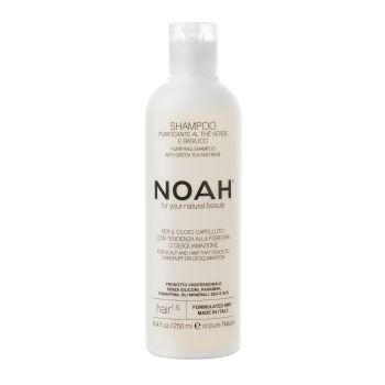 NOAH 1.5 PURIFYING plaukų šampūnas, 250 ml