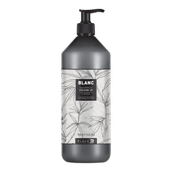 BLACK BLANC VOLUME UP plaukų šampūnas, 1000 ml