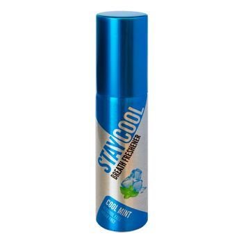 STAY COOL COOL MINT burnos gaiviklis, 20 ml