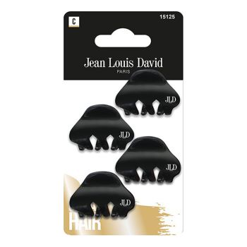 JEAN LOUIS DAVID plaukų segtukai - žnyplės (4 vnt.)