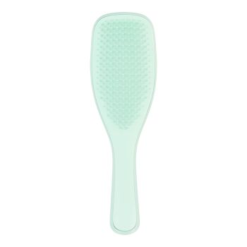 TANGLE TEEZER DETANGLING FINE & FRAGILE plaukų šepetys