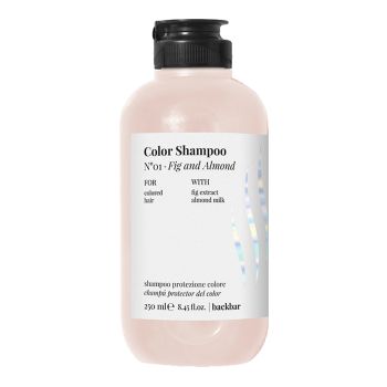BACK BAR COLOR plaukų šampūnas, 250 ml