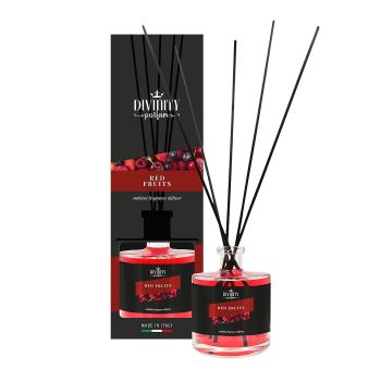 DIVINITY RED FRUITS patalpų kvėpiklis, 500 ml