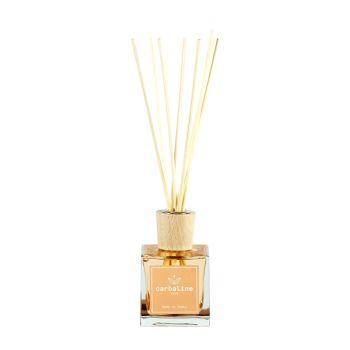 HOME FRAGRANCE BARK & BLACK PEPPER namų kvapas, 100 ml