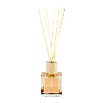 HOME FRAGRANCE TUSCAN LEATHER namų kvapas, 100 ml