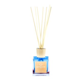 HOME FRAGRANCE TALC & MUSK namų kvapas, 100 ml