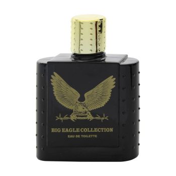 REAL TIME BIG EAGLE COLLECTION tualetinis vyrų vanduo, 100 ml