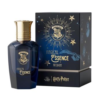 HARRY POTTER MAGICAL WISDOM parfumuotas vyrų vanduo, 50 ml