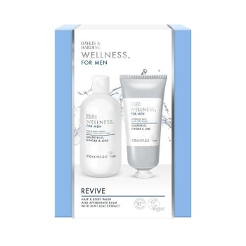 BAYLIS & HARDING WELLNESS vyrų dovanų rinkinys