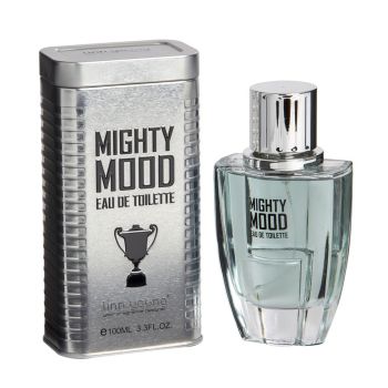 LINN YOUNG MIGHTY MOOD tualetinis vyrų vanduo, 100 ml