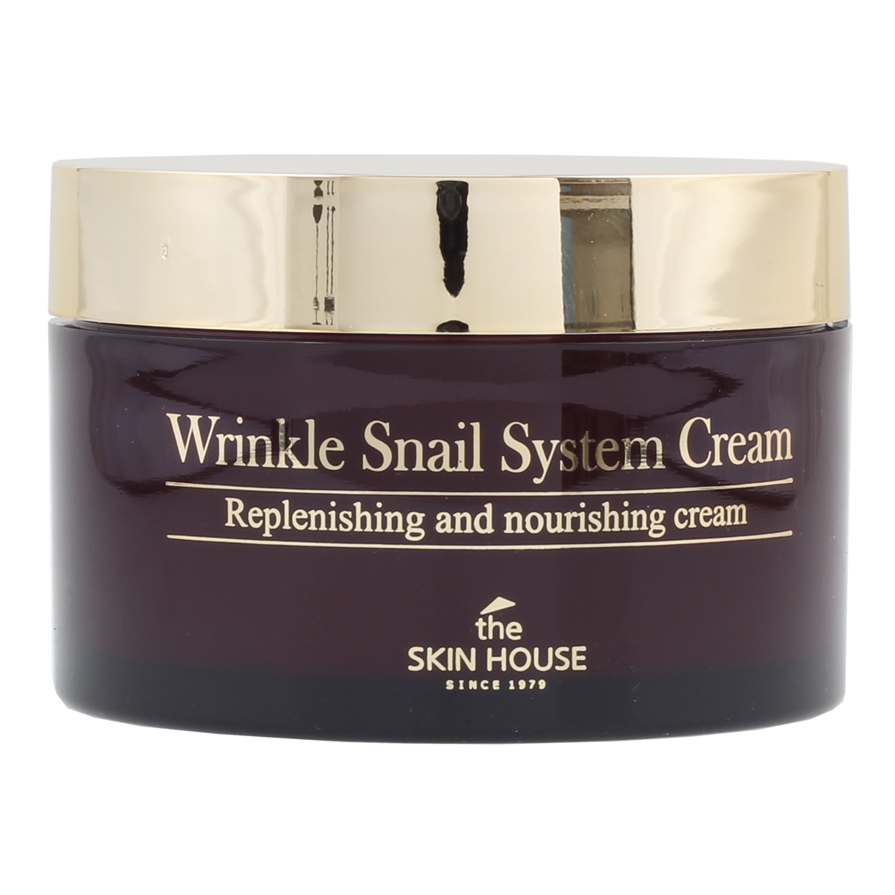 THE SKIN HOUSE WRINKLE SNAIL SYSTEM veido kremas 100 ml